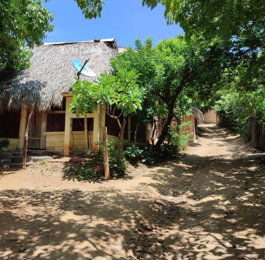 El Hostel De Ivanna Mazunte Ngoại thất bức ảnh