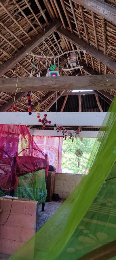 El Hostel De Ivanna Mazunte Ngoại thất bức ảnh